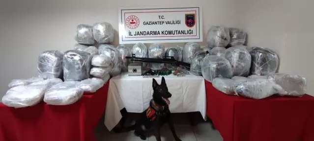 GAZİANTEP - Uyuşturucu ticareti yaptıkları iddiasıyla 5 şüpheli gözaltına alındı GAZİANTEP - Uyuşturucu ticareti yaptıkları iddiasıyla 5 şüpheli gözaltına alındı