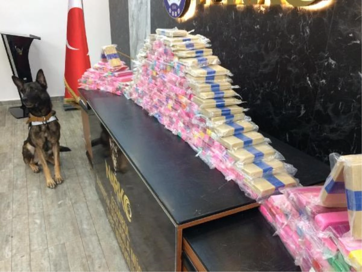 Son dakika haberleri | İstanbul merkezli 7 ilde uyuşturucu çetesine operasyon, uyuşturucu baronu yakalandı