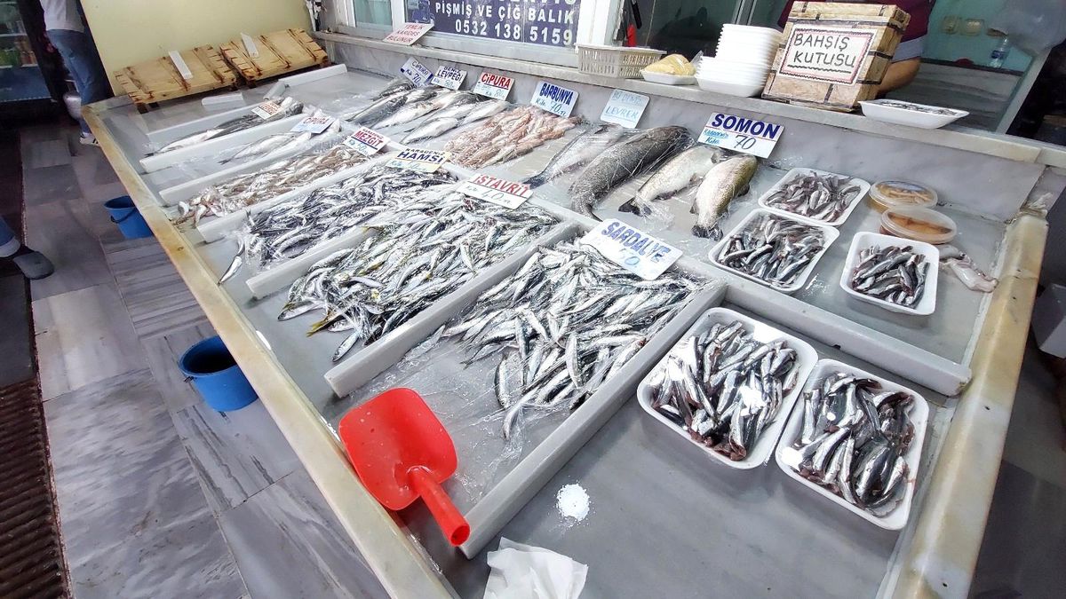 Marmara\'da poyraz etkisini kaybetti, balık fiyatlarında düşüş bekleniyor