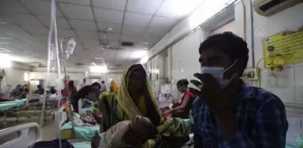 UTTAR PRADEŞ - Hindistan'da dang humması vakaları artıyor