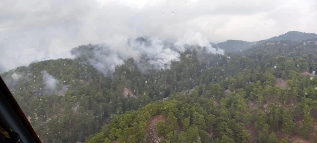 Manavgat'ta 4 hektarlık orman düşen yıldırımla yanmış