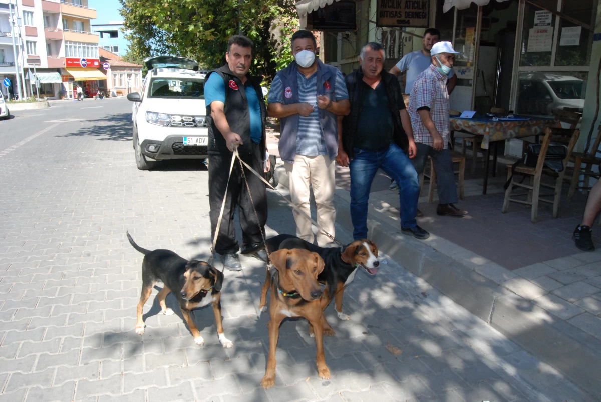 Bayramiç\'te av köpeklerine kuduz aşısı yapıldı