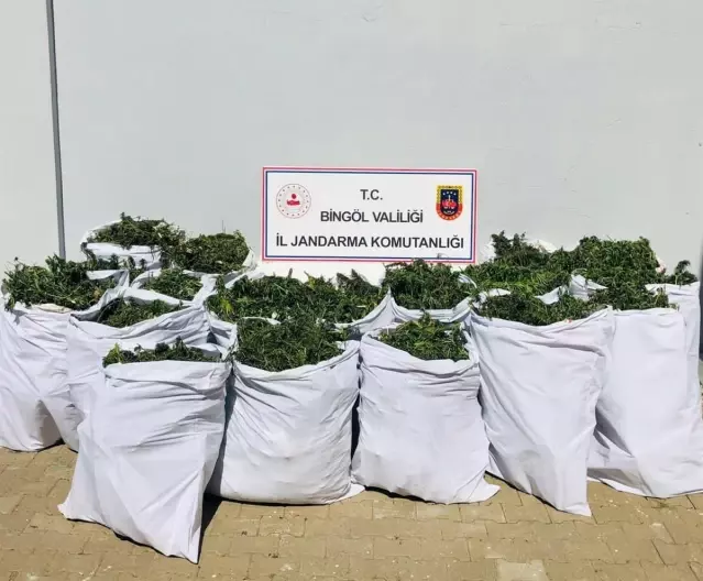 Son dakika haberi! Bingöl'de uyuşturucu operasyonu: 4 gözaltı Son dakika haberi! Bingöl'de uyuşturucu operasyonu: 4 gözaltı