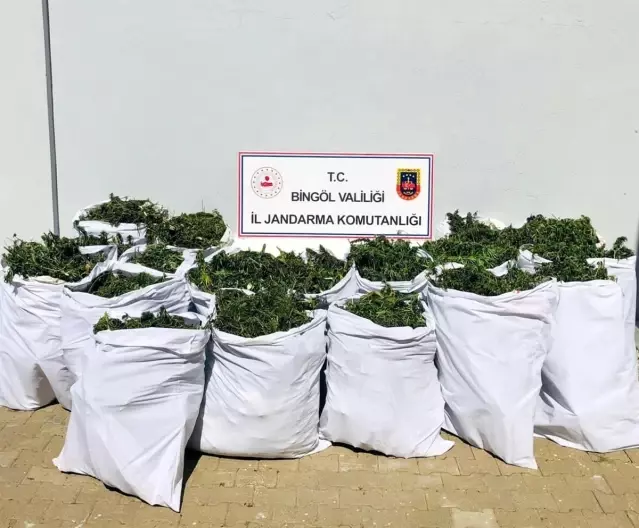 Son dakika haberi! Bingöl'de uyuşturucu operasyonu: 4 gözaltı Son dakika haberi! Bingöl'de uyuşturucu operasyonu: 4 gözaltı