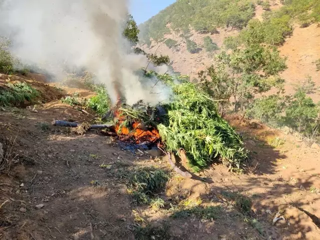 Son dakika haberi! Bingöl'de uyuşturucu operasyonu: 4 gözaltı Son dakika haberi! Bingöl'de uyuşturucu operasyonu: 4 gözaltı