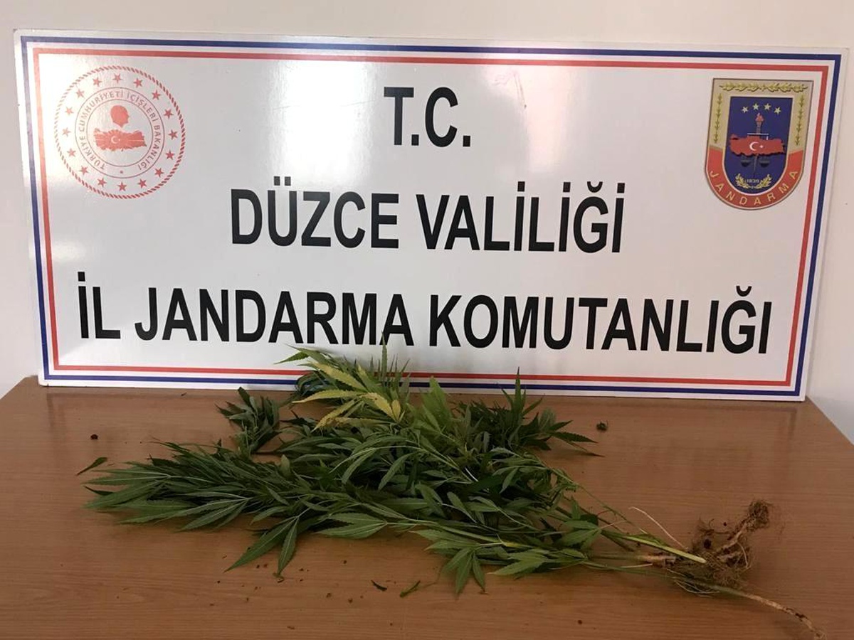 Son dakika haberi: Düzce\'de jandarmadan 3 farklı noktada uyuşturucu operasyonu: 3 gözaltı