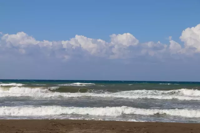 Suriye kaynaklı petrol sızıntısına ilişkin temizlik çalışmaları sürüyor Suriye kaynaklı petrol sızıntısına ilişkin temizlik çalışmaları sürüyor