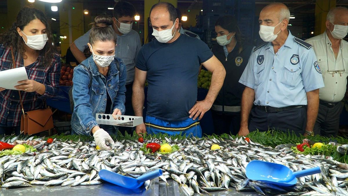 Kağıthane\'de semt pazarlarında balık denetimi