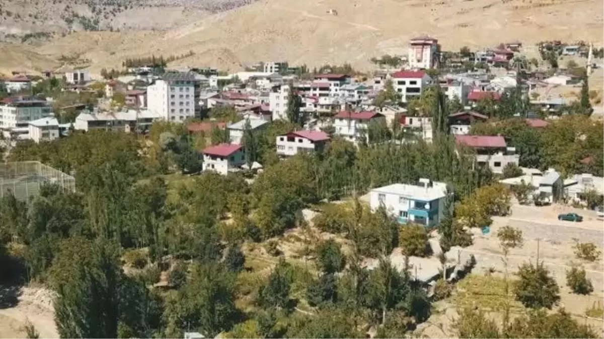 KAHRAMANMARAŞ - Coğrafi işaret tescilli Çağlayancerit cevizinde hasat mesaisi