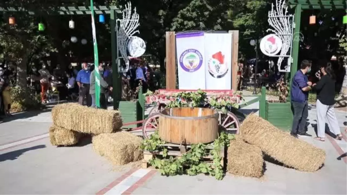 KIRKLARELİ - "13. Yayla Bolluk, Bereket, Hasat ve Bağ Bozumu Şenlikleri" yapıldı