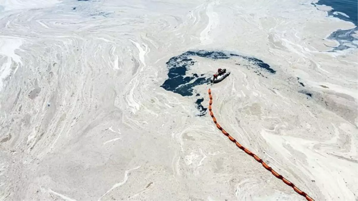 Marmara\'da müsilaj incelemesi yapan uzmanlardan uyarı: Bu seneki manzarayı arayacağız