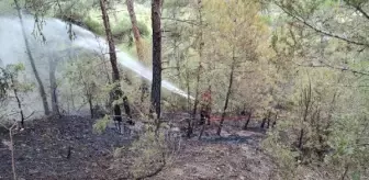 Safranbolu'da çıkan orman yangını büyümeden söndürüldü