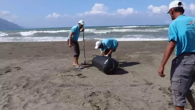 Suriye kaynaklı petrol sızıntısına ilişkin temizlik çalışmaları sürüyor Suriye kaynaklı petrol sızıntısına ilişkin temizlik çalışmaları sürüyor