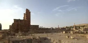 Tunus'ta 'Sicca Caz' Festivali