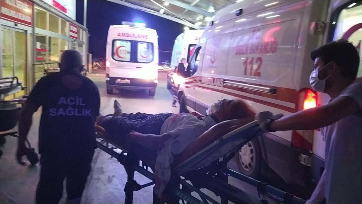 Adana\'da otomobilin ağaca çarpması sonucu 4 kişi yaralandı