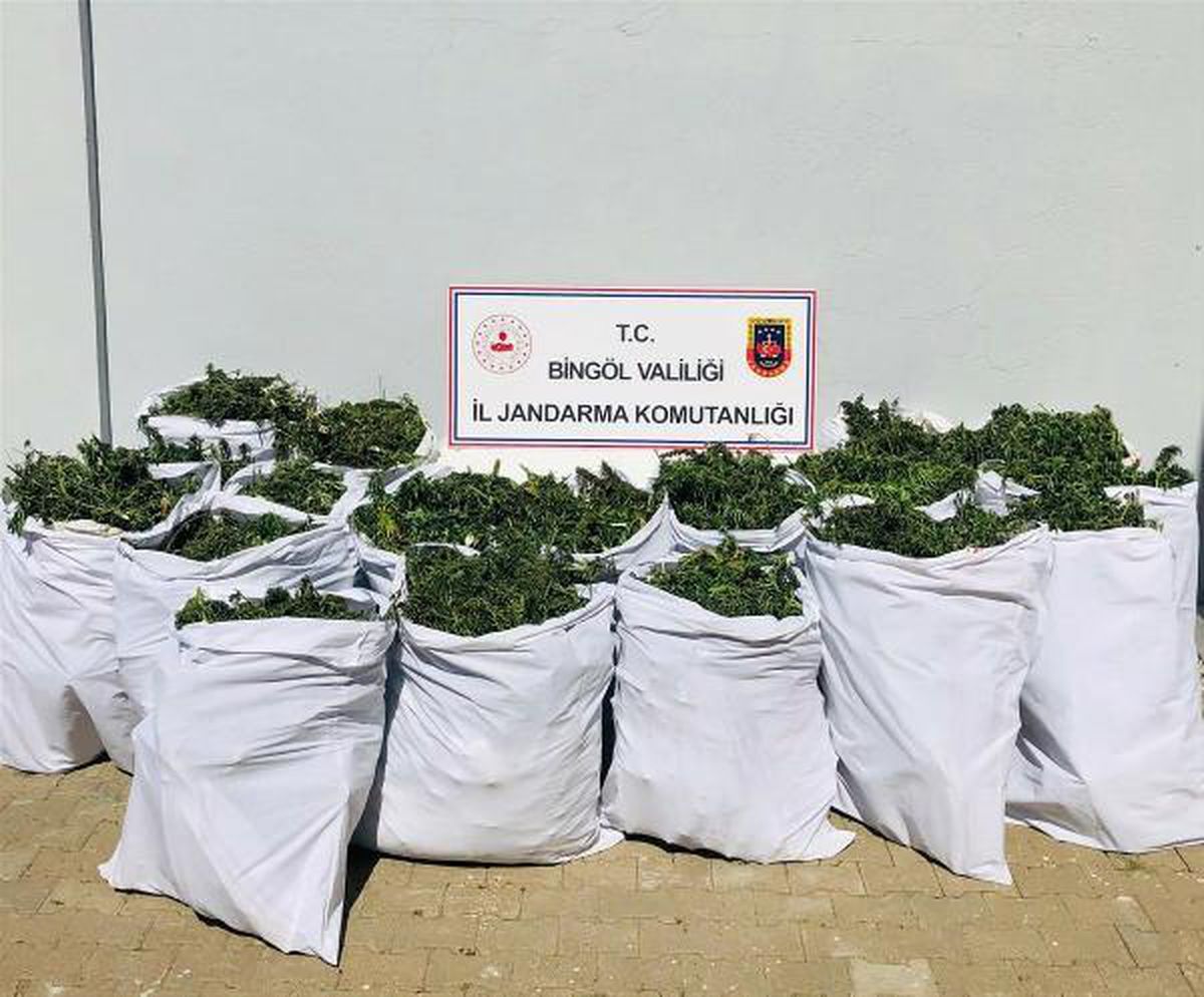 Son dakika... Bingöl\'de uyuşturucu operasyonu: 4 gözaltı