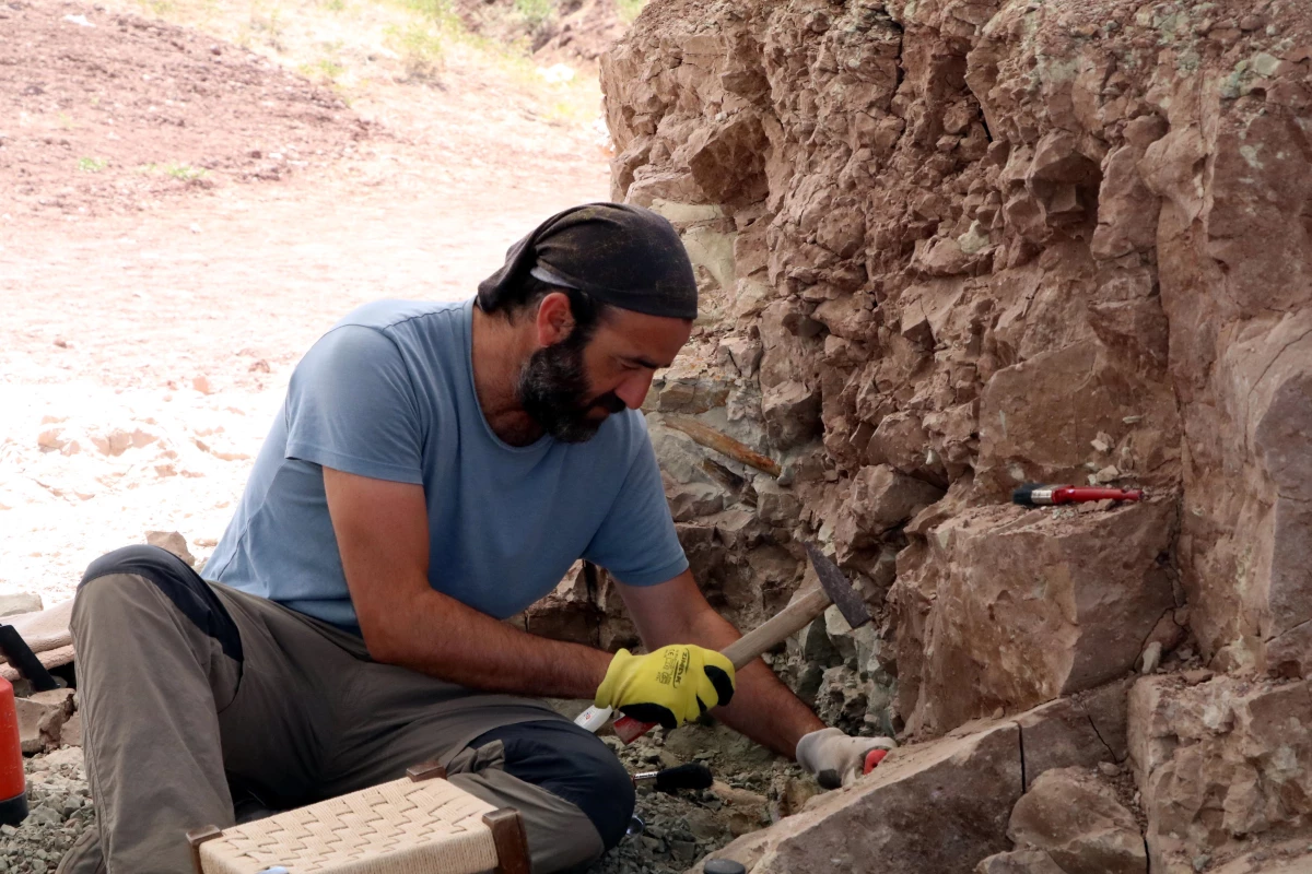 "Çorak Yerler"de 24 yılda 5 binin üzerinde fosil bulundu