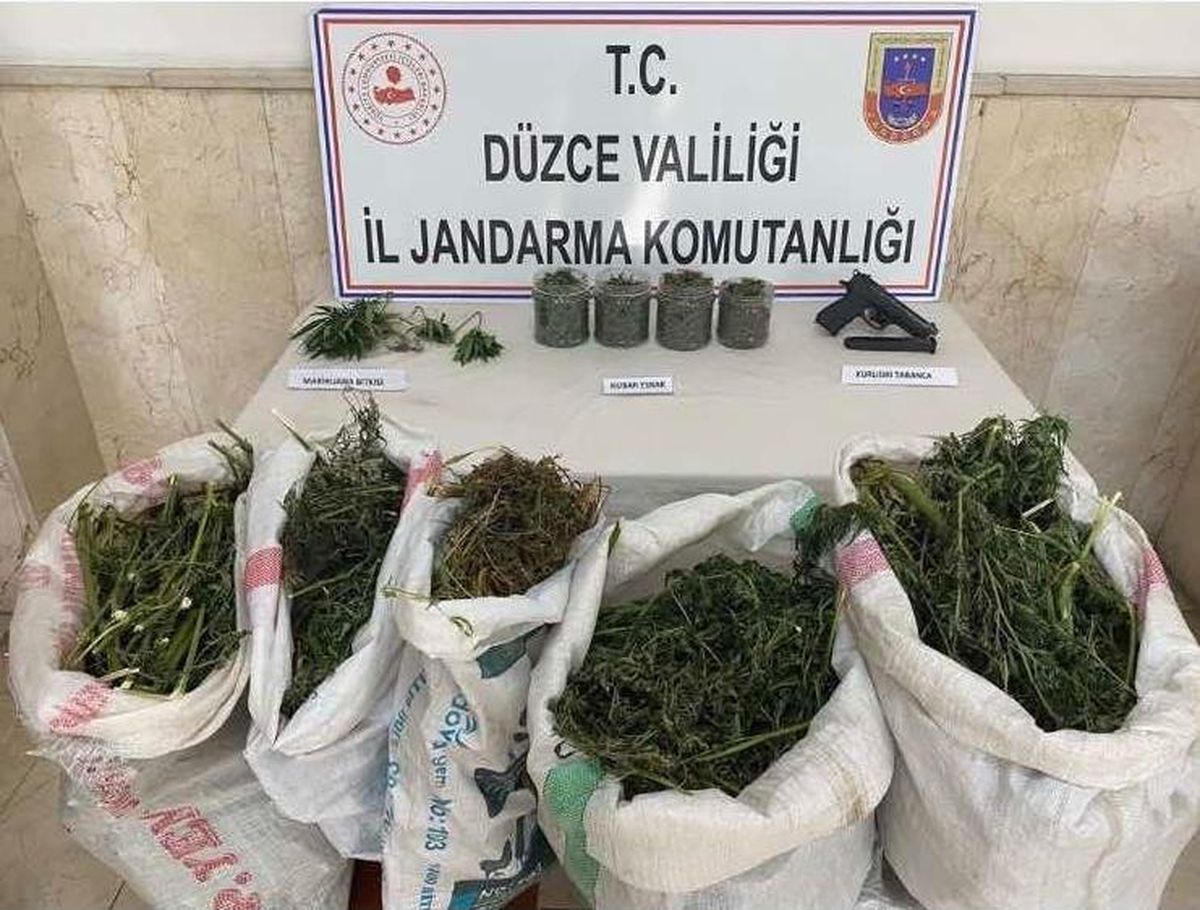 Düzce\'de uyuşturucu operasyonlarında 4 zanlı yakalandı