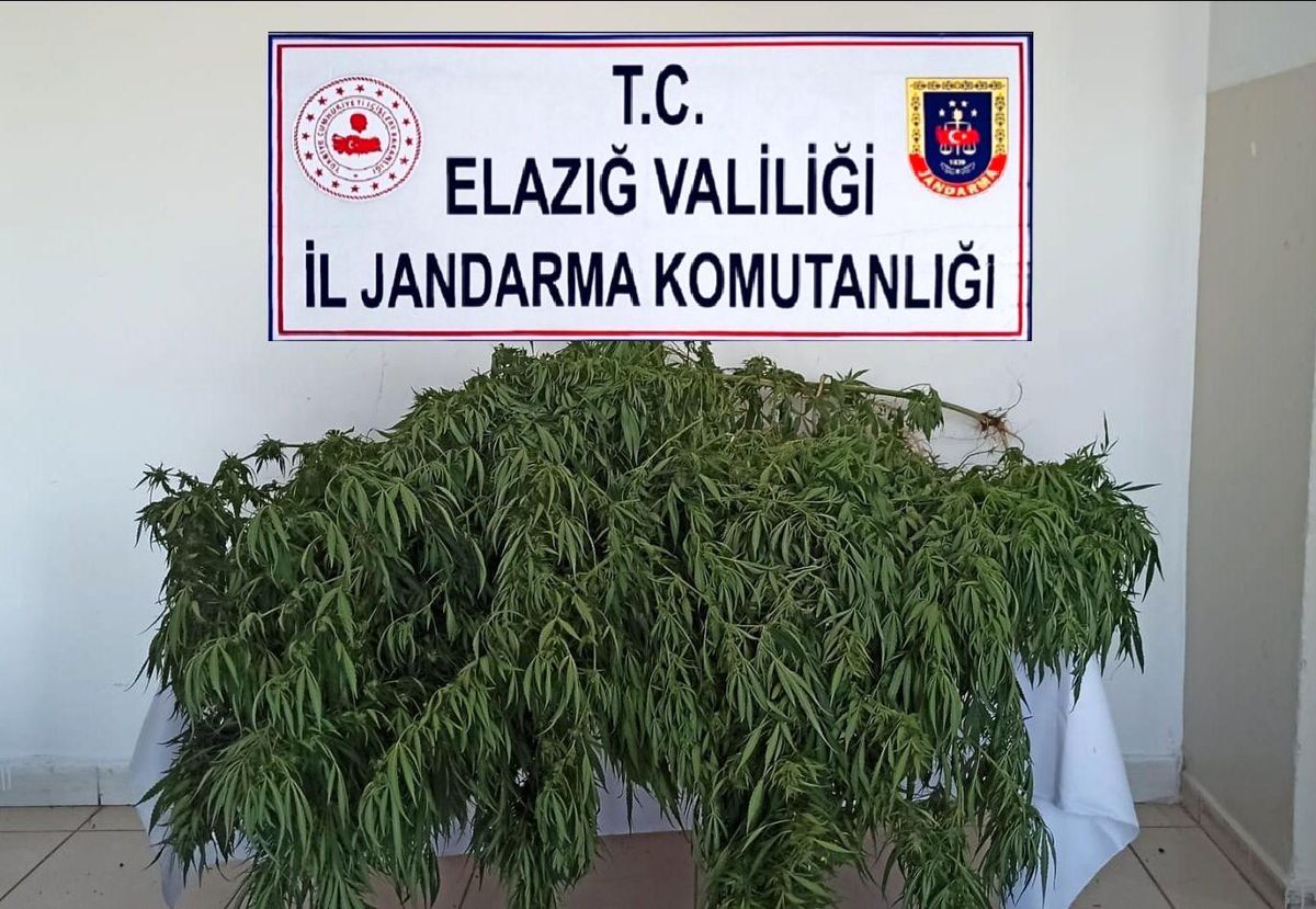 Son Dakika | Elazığ\'da uyuşturucu operasyonu: 1 gözaltı