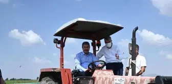 Vali ceketi çıkardı, traktörle yer fıstığı hasadı yaptı