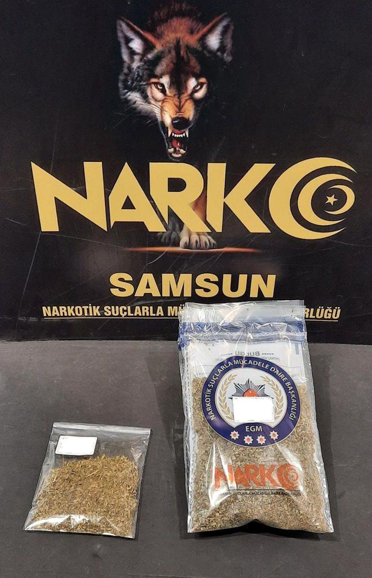 Samsun\'da bonzai ile yakalanan bir kişi gözaltında