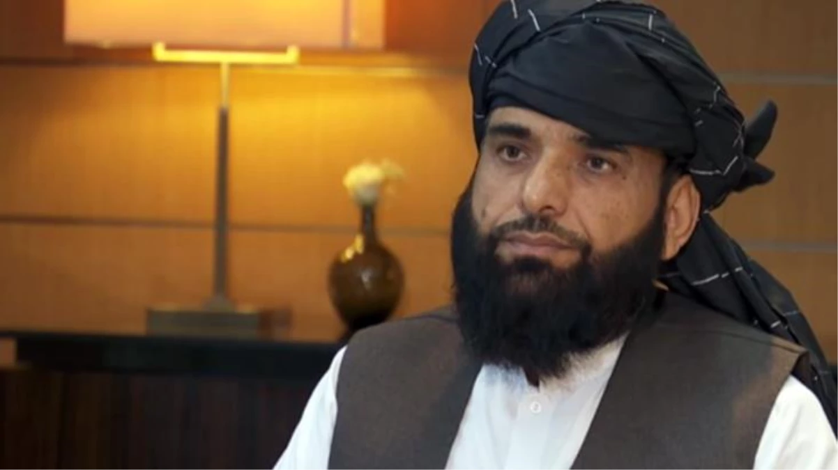 Taliban Sözcüsü Süheyl Şahin\'den Haberler.com\'a özel açıklamalar! ABD\'ye zeytin dalı uzattı