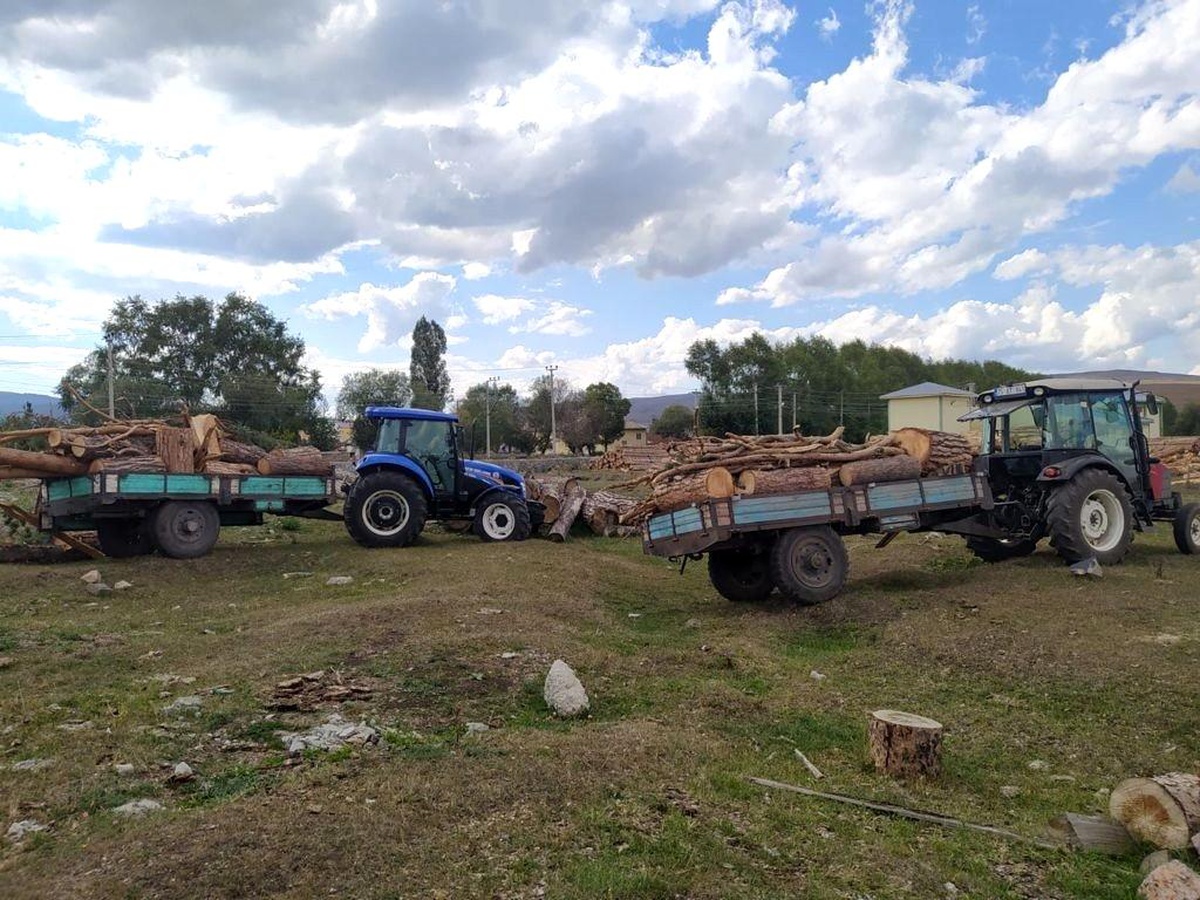 Son dakika haberi... Ardahan\'da izinsiz ağaç kesimine gözaltı