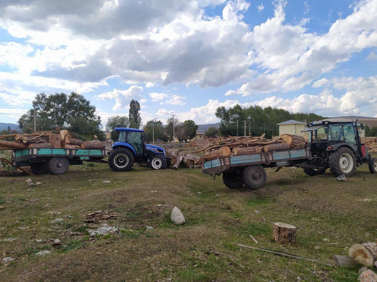 Ardahan\'da kaçak ağaç keserken yakalanan 2 zanlı hakkında yasal işlem başlatıldı