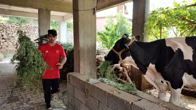 Çiftçilikten Avrupa Şampiyonluğu'na