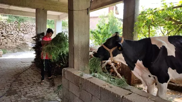 Çiftçilikten Avrupa Şampiyonluğu'na