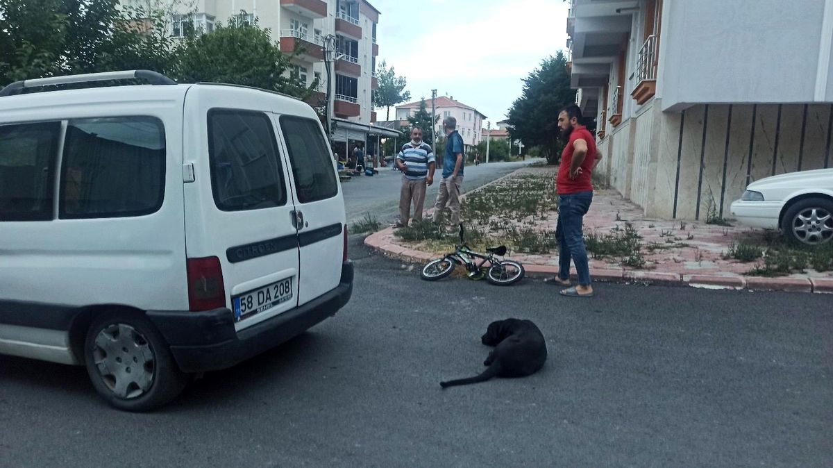 Hafif ticari araca çarpan bisikletli çocuk yaralandı