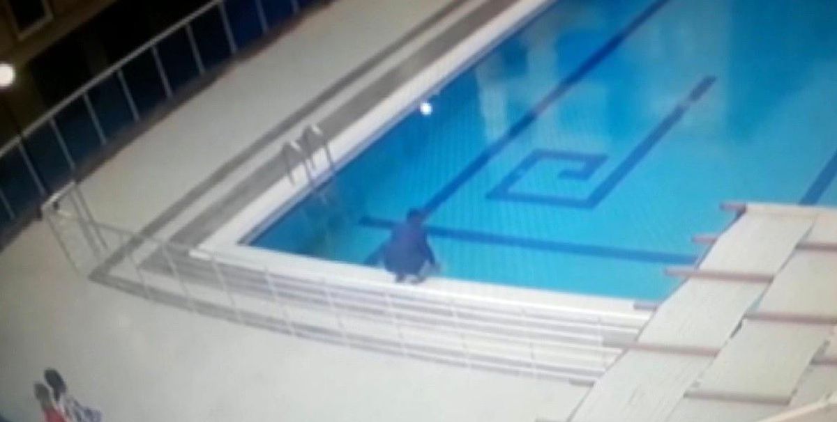 Havuzda ölmek üzere olan martıyı böyle kurtardı