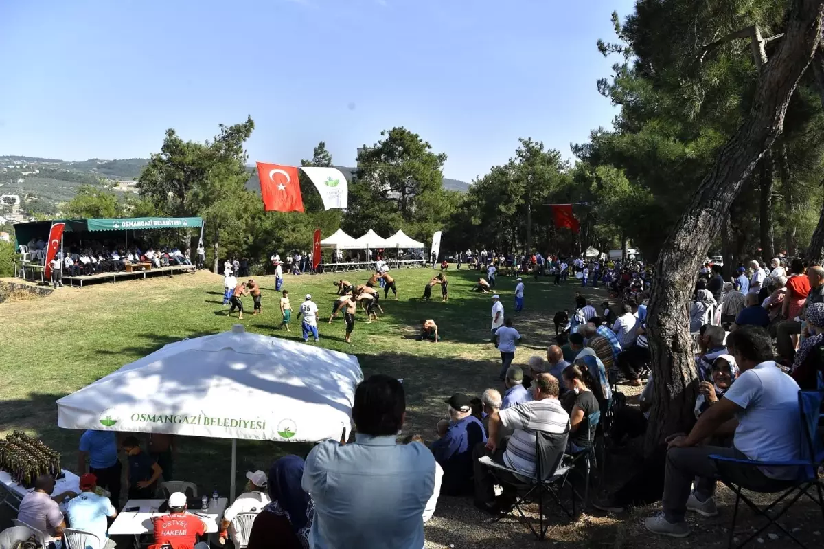 Osmangazi\'den \'siyah incir\'e yakışan festival