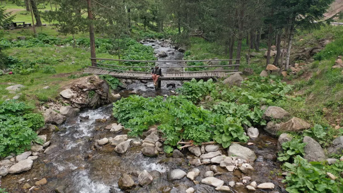Bozkır\'ın yaylaları Karadeniz\'i aratmıyor