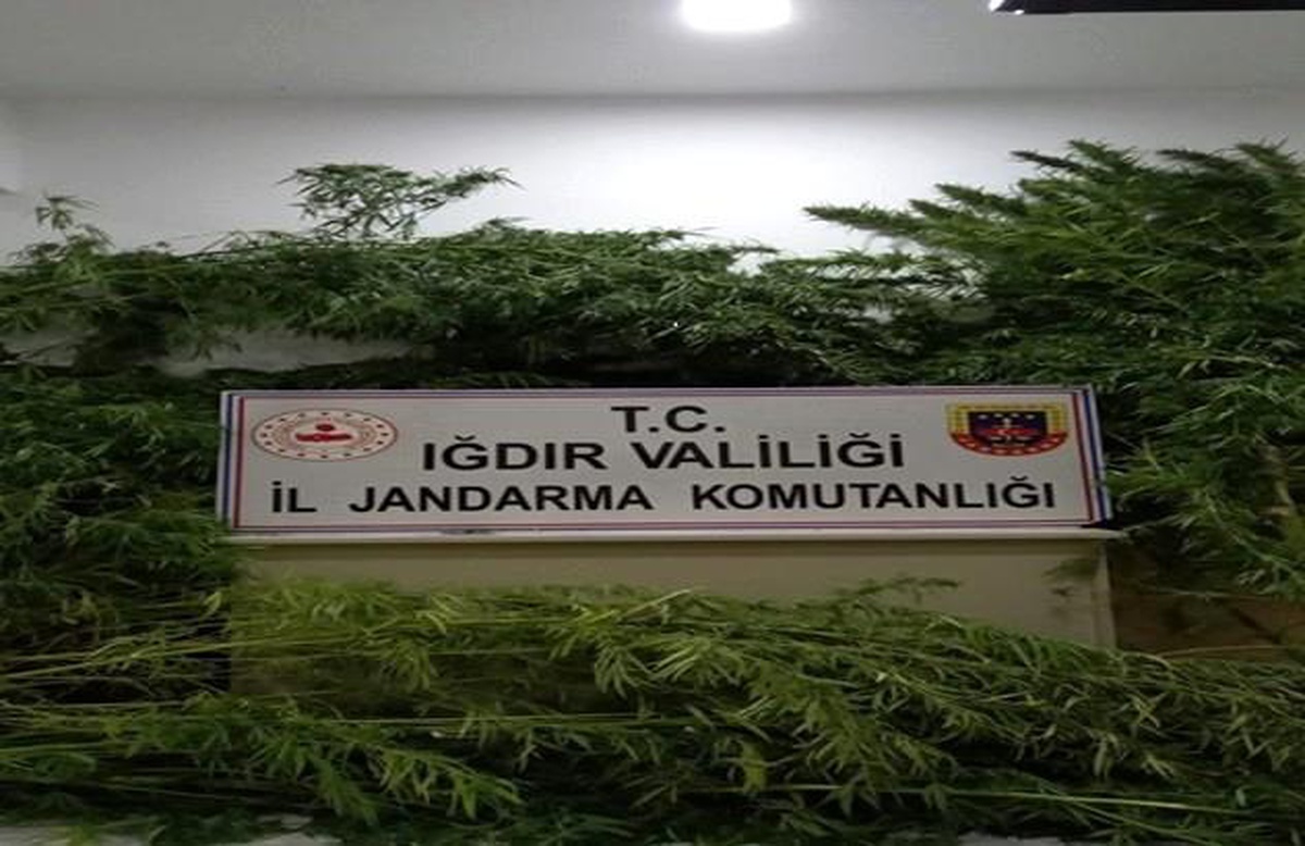 Uyuşturucu kaçakçılarına geçit yok