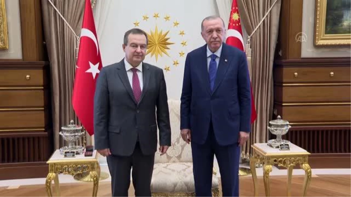 Cumhurbaşkanı Erdoğan, Sırbistan Ulusal Meclis Başkanı Daçiç\'i kabul etti