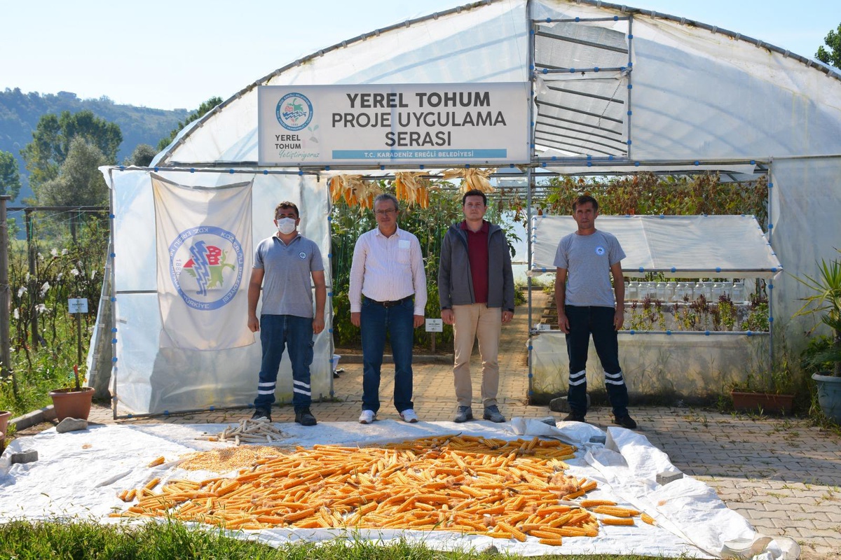 Ereğli\'de 14 çeşit yerel tohum üretildi