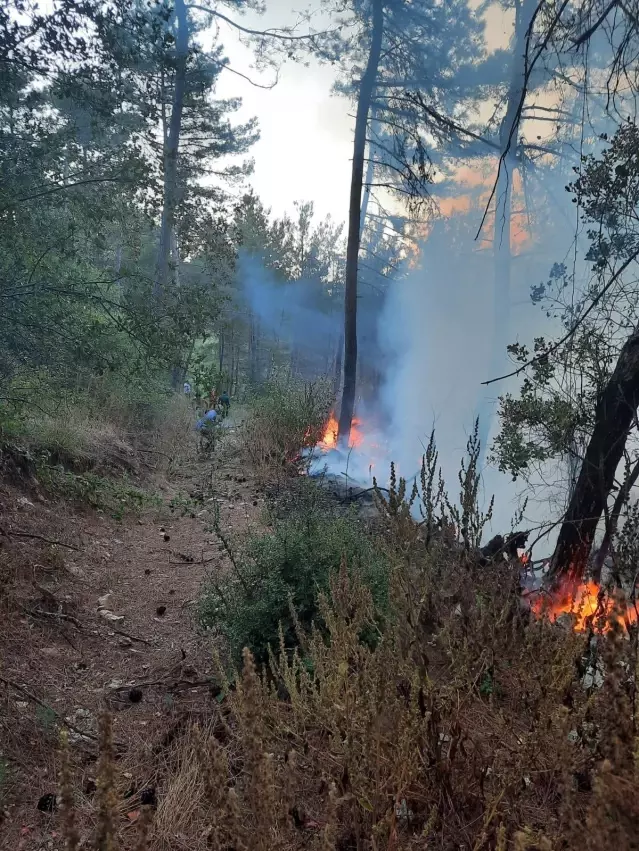Orman yangını havadan ve karadan müdahaleyle kontrol altına alındı Orman yangını havadan ve karadan müdahaleyle kontrol altına alındı