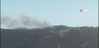 Son dakika haberi | Hatay'da orman yangınına havadan ve karadan müdahale ediliyor