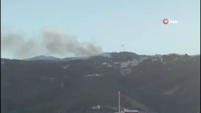 Son dakika haberi | Hatay'da orman yangınına havadan ve karadan müdahale ediliyor Son dakika haberi | Hatay'da orman yangınına havadan ve karadan müdahale ediliyor