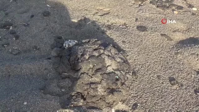 Hatay'da petrol atıkları kuma gömülüyor