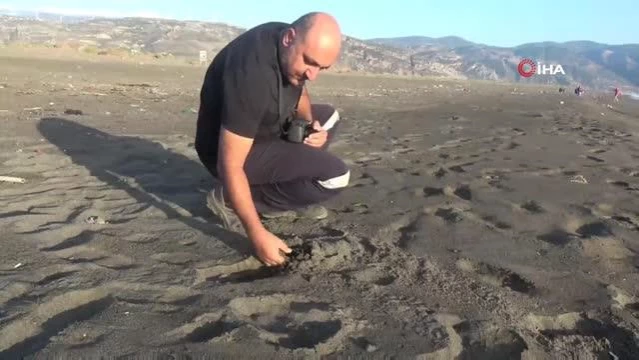 Hatay'da petrol atıkları kuma gömülüyor