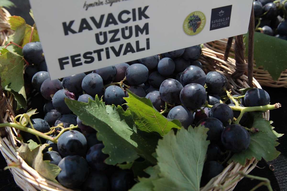 Kavacık Üzüm Festivali gün sayıyor