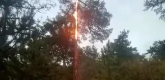 Son dakika haberleri! Marmaris'te düşen yıldırım yangın çıkardı