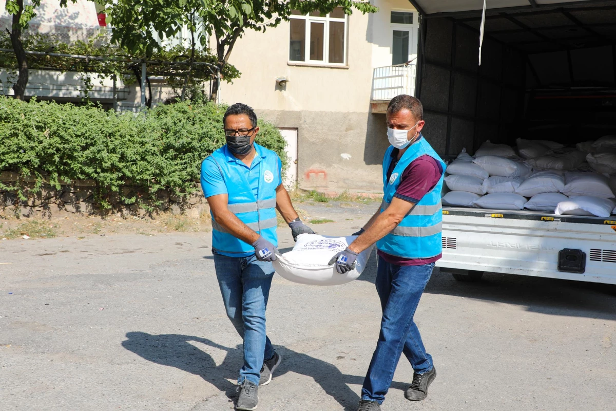 Nadasa bırakılan araziye ekilen buğdaydan un yapılarak ihtiyaç sahiplerine dağıtıldı