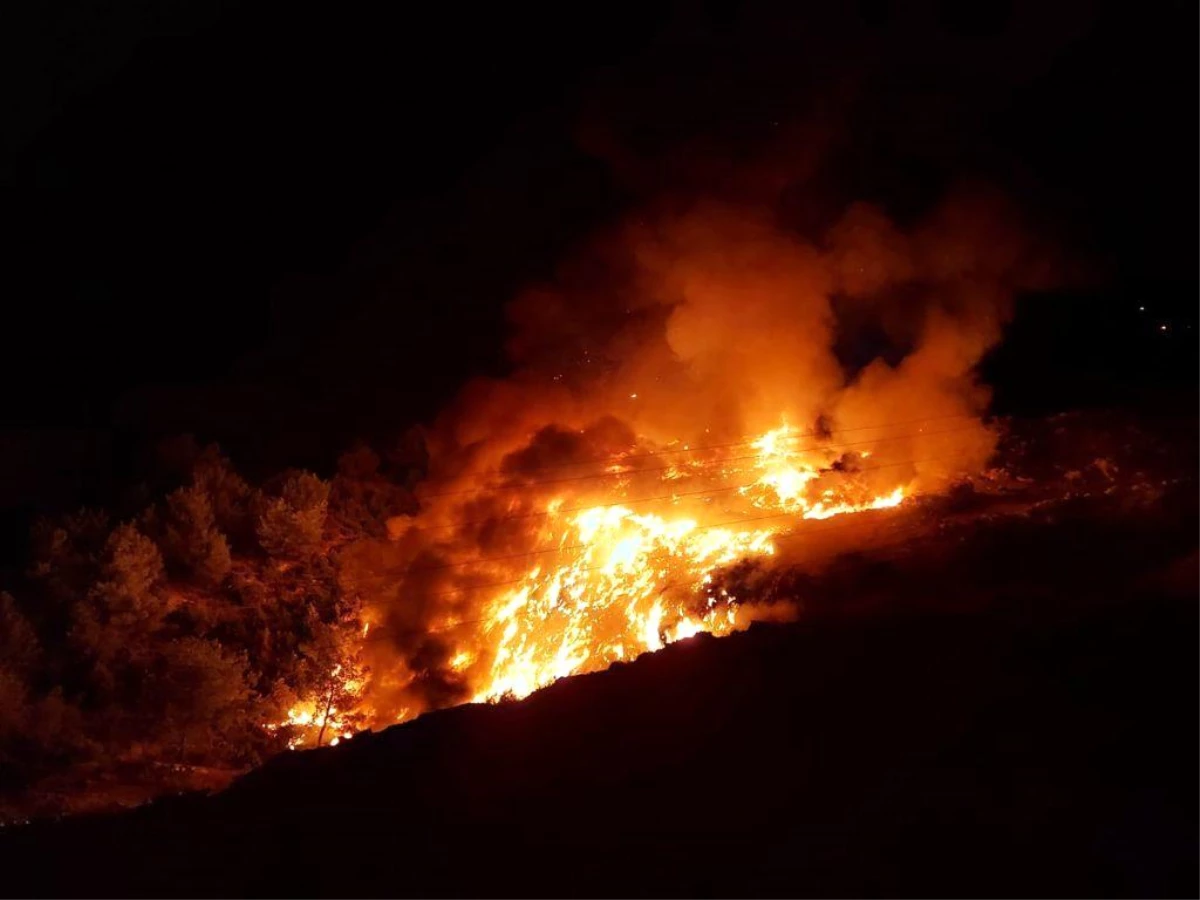 Son dakika haberi: Osmaneli\'nde çöplük alanda çıkan yangın kısa sürede söndürüldü