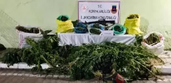 Samanlar arasında 23 kilo esrar ele geçirildi