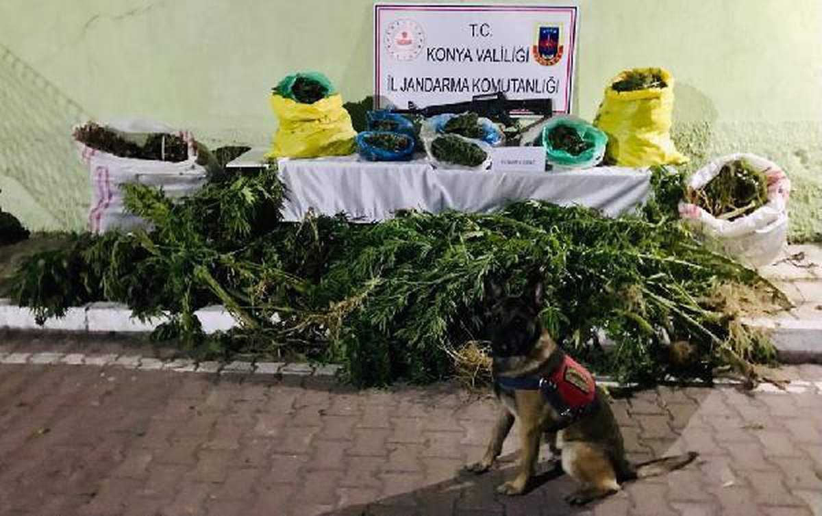 Samanlar arasında 23 kilo esrar ele geçirildi