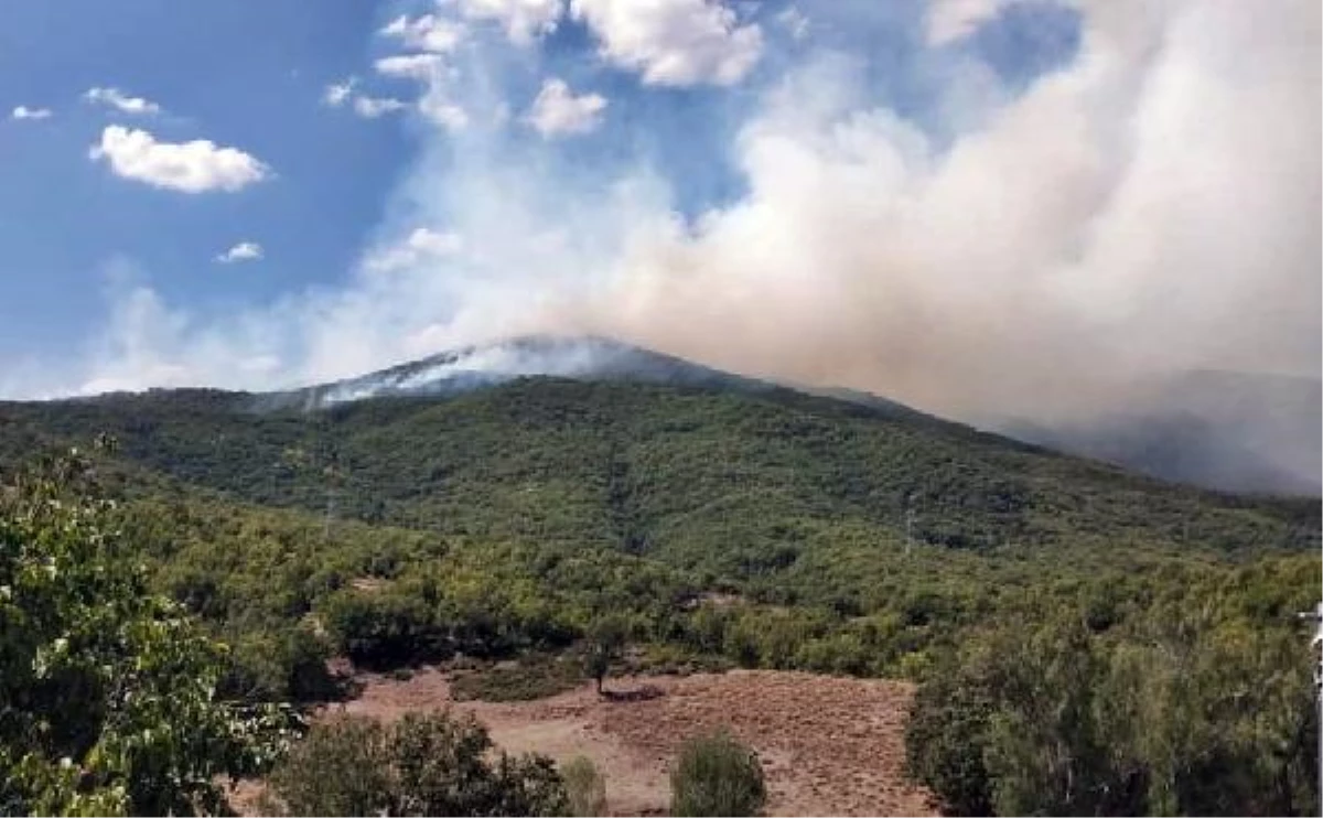 TUNCELİ\'DE ÖRTÜ YANGINI; HAVADAN MÜDAHALE EDİLİYOR