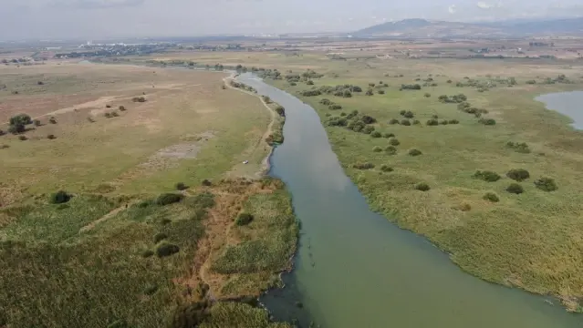 Son dakika... Uluabat Gölü can çekişiyor